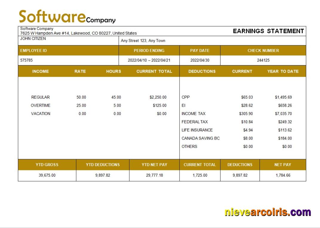 software company paystub